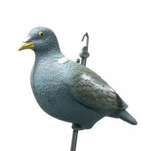 Hunting decoy pigeon