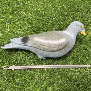 Hunting decoy pigeon