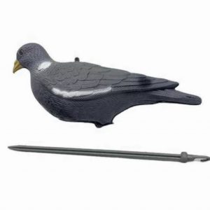 Hunting decoy pigeon
