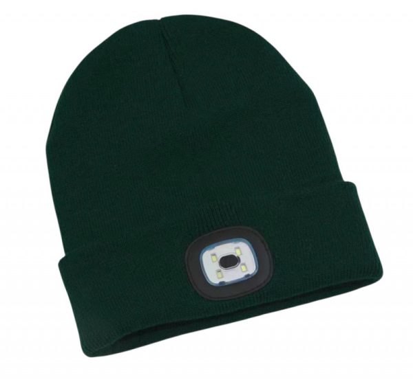Beanie Hat Green