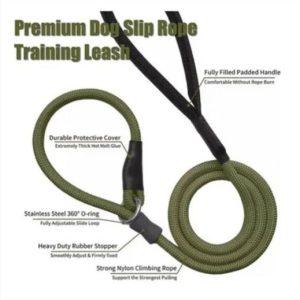 Dog training slip lead green