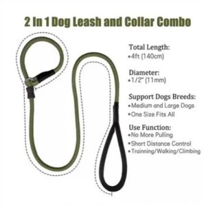 Dog training slip lead green
