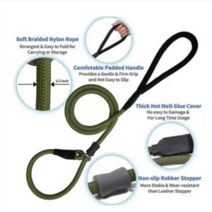 Dog training slip lead green