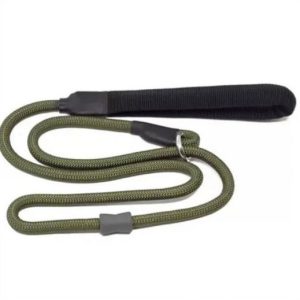 Dog training slip lead green