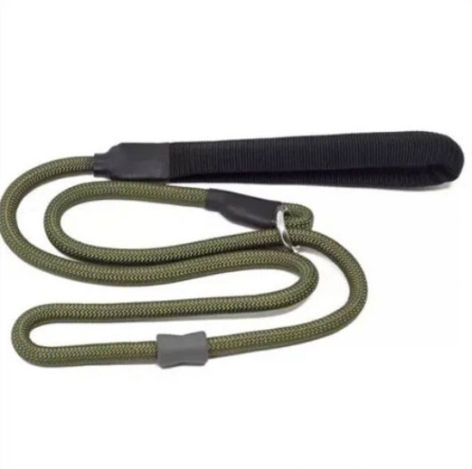 Dog training slip lead green
